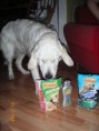 /album/belinciny-vanoce/vanoce-2008-012-jpg/